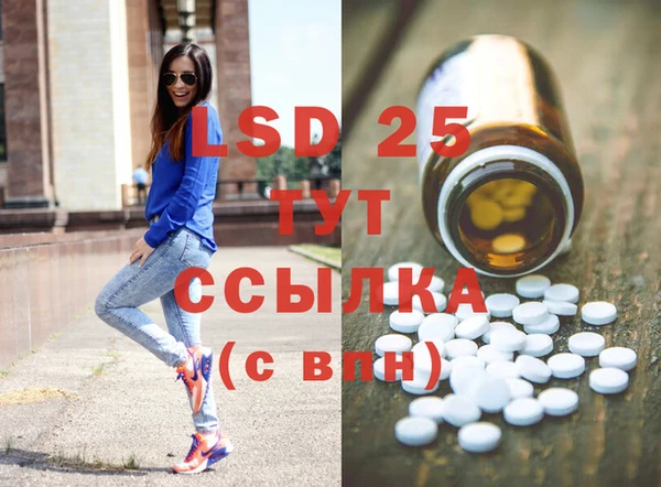 ГАЛЛЮЦИНОГЕННЫЕ ГРИБЫ Алзамай