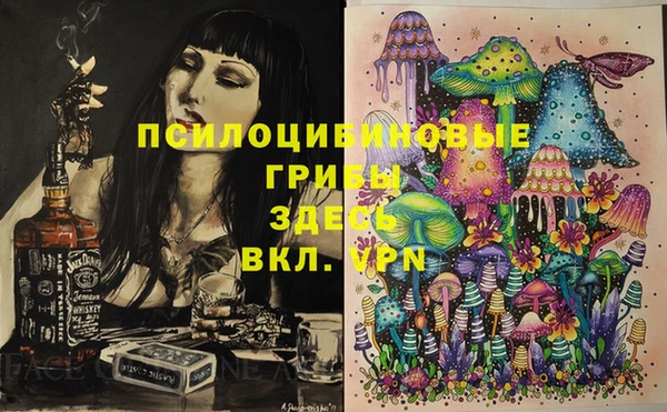 хмурый Алексин