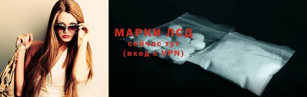 хмурый Алексин