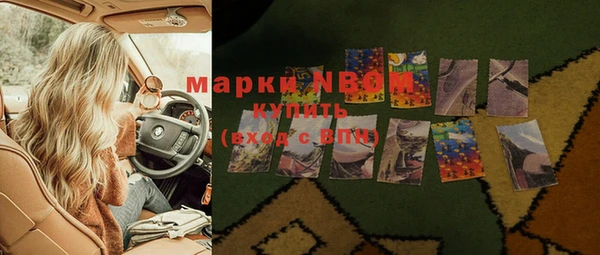 хмурый Алексин