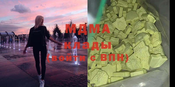 хмурый Алексин
