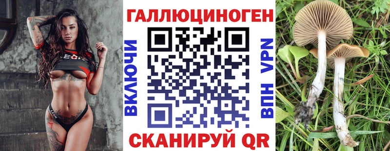 Псилоцибиновые грибы прущие грибы  продажа наркотиков  Ивангород 